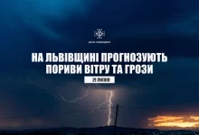21 липня на Львівщині прогнозують пориви вітру та грози