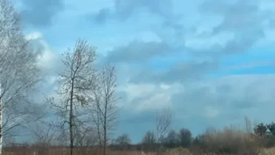 Жовківська міська рада виставляє на аукціон ділянку під АЗК у Волі-Висоцькій
