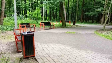 У Львові повторно оголосять аукціони на пересувну торгівлю в парках