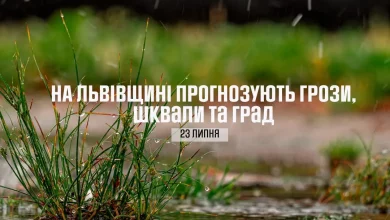 23 липня на Львівщині прогнозують грози, шквали та град