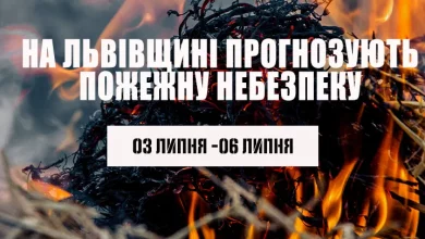 На Львівщині оголосили надзвичайну пожежну небезпеку 3–6 липня