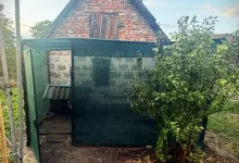 У Львові чоловік жорстоко поранив собаку ножем і вилами: поліція розслідує справу