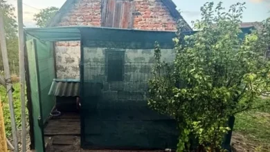 У Львові чоловік жорстоко поранив собаку ножем і вилами: поліція розслідує справу