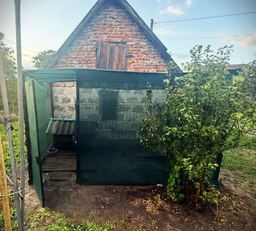 У Львові чоловік жорстоко поранив собаку ножем і вилами: поліція розслідує справу
