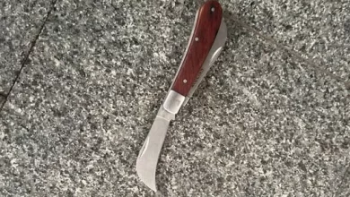 У Львові на акції затримали 32-річного чоловіка з ножем