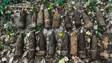 На Львівщині піротехніки знищили 18 снарядів часів Другої світової
