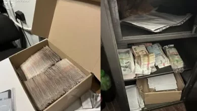 На Львівщині викрили мережу збуту контрафактної вейп-продукції на 55 млн грн