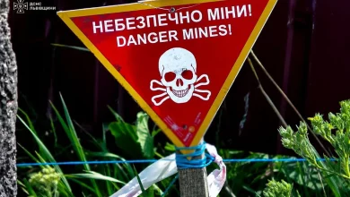 На Львівщині знищили два артилерійські снаряди часів Другої світової війни