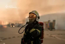 На Львівщині за добу загасили 29 пожеж, більшість — в екосистемах