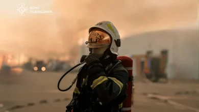 На Львівщині за добу загасили 29 пожеж, більшість — в екосистемах