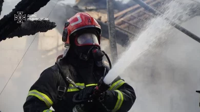 На Львівщині за добу рятувальники загасили 22 пожежі, з них 12 в екосистемах