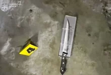 У Львові 22-річного чоловіка, підозрюваного у вбивстві сусідки, хочуть відправити на примусове лікування