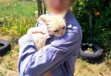 У Дітківцях рятувальники підняли рудого кота з 10-метрової криниці