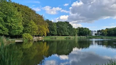 Мешканців Львівської громади запрошують долучитися до обговорення «Водної візії Львова 2100»