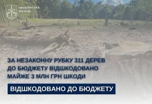На Львівщині відшкодували майже 3 млн грн за незаконну рубку 311 дерев