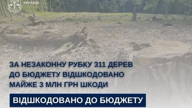 На Львівщині відшкодували майже 3 млн грн за незаконну рубку 311 дерев