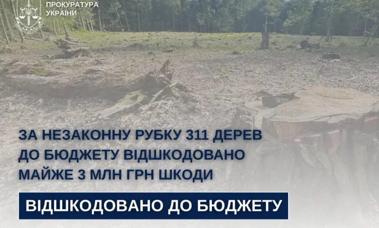 На Львівщині відшкодували майже 3 млн грн за незаконну рубку 311 дерев