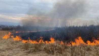 Синоптики попереджають про надзвичайну пожежну небезпеку у Львові