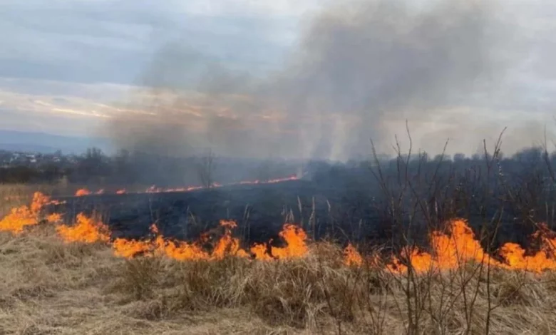 Синоптики попереджають про надзвичайну пожежну небезпеку у Львові