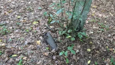У Львові знищили артснаряд і гранату часів Другої світової війни