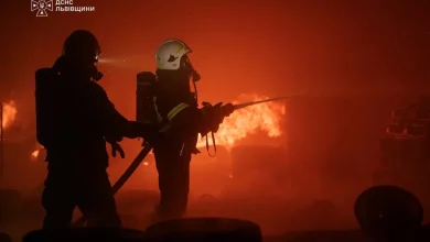 За добу на Львівщині рятувальники загасили 42 пожежі, більшість – в екосистемах