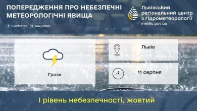 На 11 серпня на Львівщині прогнозують грози
