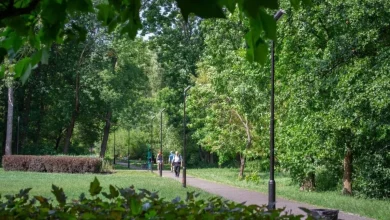 У львівських парках визначили орендарів локацій для пересувної торгівлі
