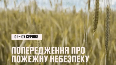 На Львівщині оголосили надзвичайну пожежну небезпеку з 1 до 7 серпня