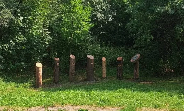 У парку «Знесіння» у Львові з’явилася нова освітня галявина про дерева