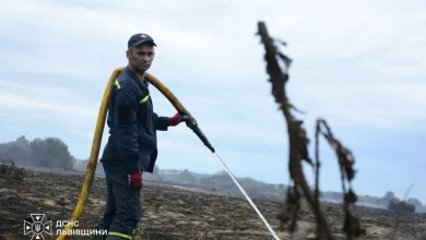 На Львівщині за добу ліквідували 29 пожеж в екосистемах