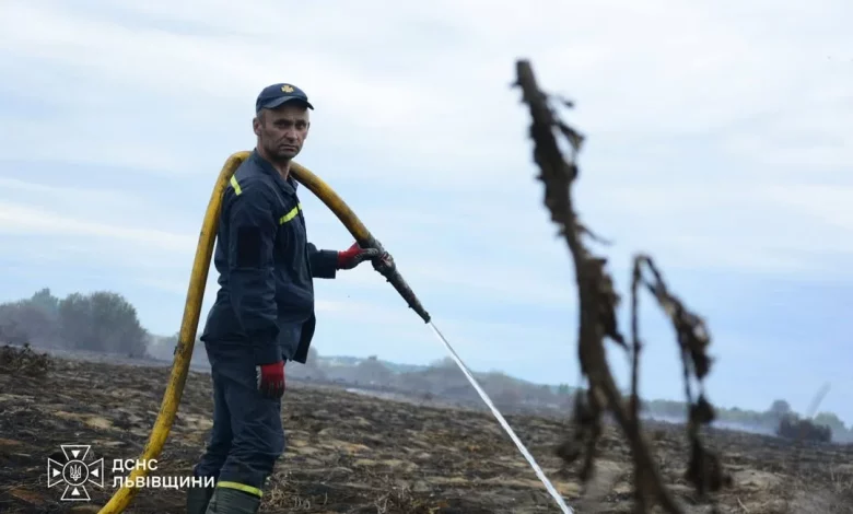 На Львівщині за добу ліквідували 29 пожеж в екосистемах