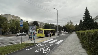 У Львові посеред велодоріжки на вул.