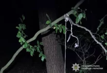 На Львівщині судитимуть чоловіка, який повісив собаку на дереві