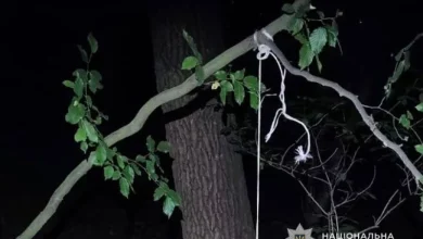 На Львівщині судитимуть чоловіка, який повісив собаку на дереві