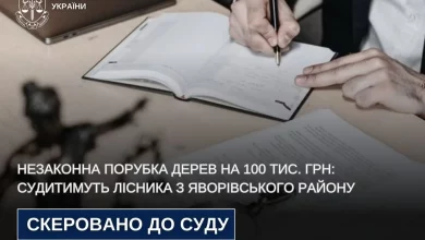 Лісника з Яворівського району обвинувачують у незаконній порубці дерев на понад 100 тис.
