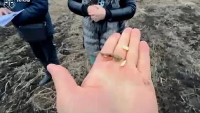 Суд повернув громаді 15 га землі в селі Гряда на Львівщині