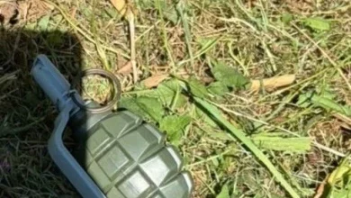 У Львові на подвір’ї будинку виявили навчально-тренувальну гранату