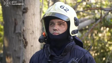 На Львівщині за добу ліквідували 16 пожеж, з них 10 в екосистемах