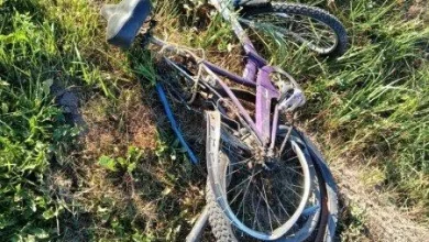 На Львівщині «Жигулі» смертельно травмували велосипедиста на дорозі Борщовичі – Новий Яричів