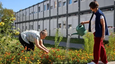Як у модульному містечку «Маріяполіс» на Сихові переселенці вирощують город і квіти замість втрачених дворів