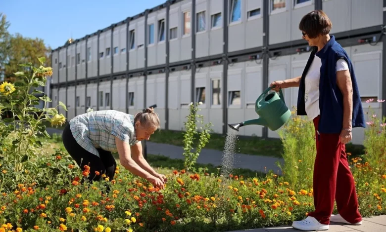 Як у модульному містечку «Маріяполіс» на Сихові переселенці вирощують город і квіти замість втрачених дворів