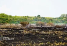 На Львівщині за добу ліквідували 39 пожеж в екосистемах