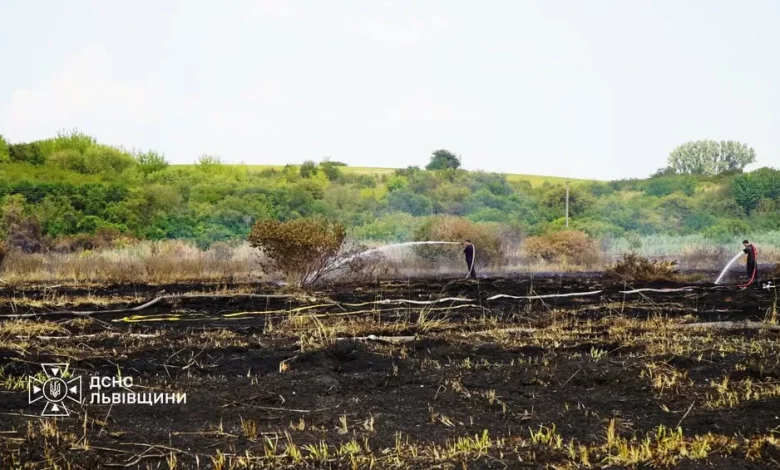 На Львівщині за добу ліквідували 39 пожеж в екосистемах