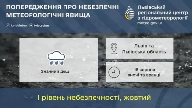 18 серпня на Львівщині очікують грози та сильний вітер