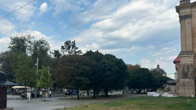 Суд відмовив власникам «Язикатої тещі» у справі щодо ділянки на проспекті Свободи у Львові