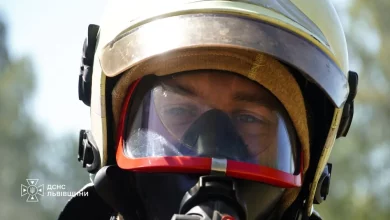 За добу на Львівщині зафіксували 27 пожеж, з них 13 в екосистемах