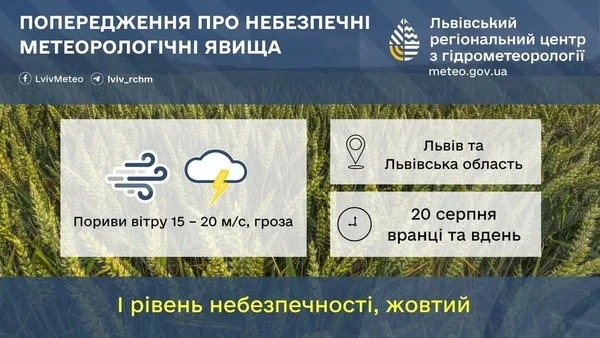 20 серпня на Львівщині очікують сильний вітер і грози