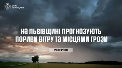 На Львівщині 20 серпня очікують пориви вітру та грози