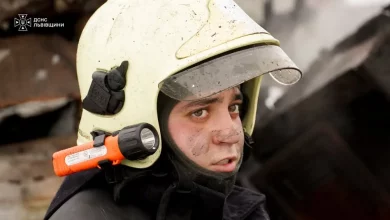 На Львівщині за добу зафіксували 10 пожеж, п’ять з них — в екосистемах