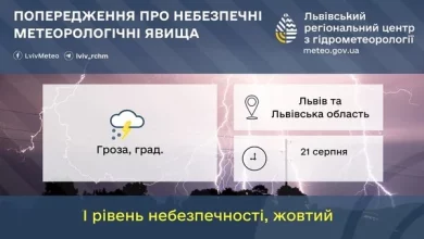 На Львівщині 21 серпня очікують грози та град